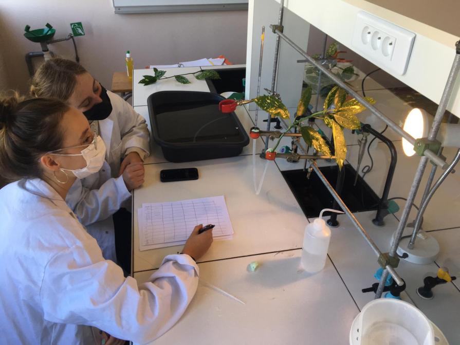 TOP-2 best boarding schools in Paris 2026 Ranking