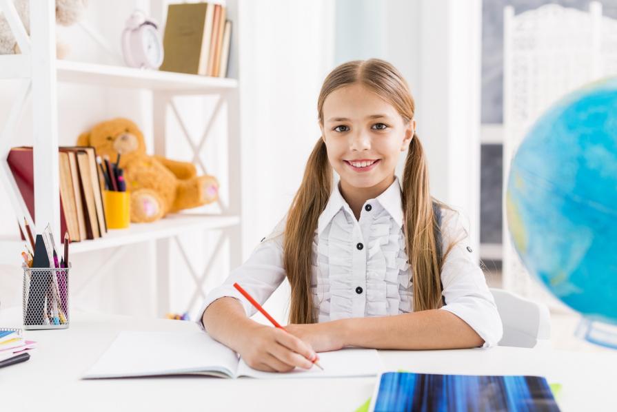 Main reasons why public schools will never disappear