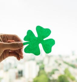 Cons of living in Ireland: difficult immigration to the Emerald Isle