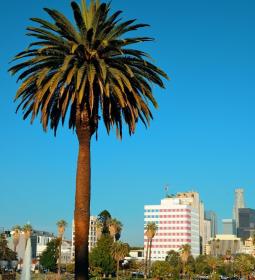 7 Amazing and Unique Cities in the World