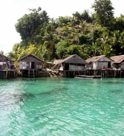 Amazing fish people from the Bajo tribe: interesting facts