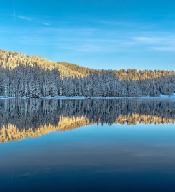 History of Jack London Lake in Russia