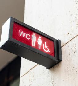 Why did the Japanese build an entire village of toilets?