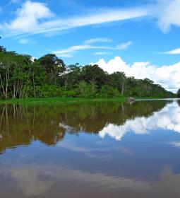 Why is there not a single bridge over the Amazon yet?