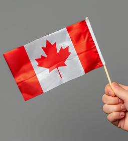 Bachelor's degree in Canada: tuition fees for foreign students