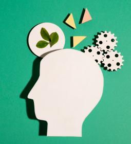 TOP Universities in Europe for Psychology 2026 - QS World University Rankings