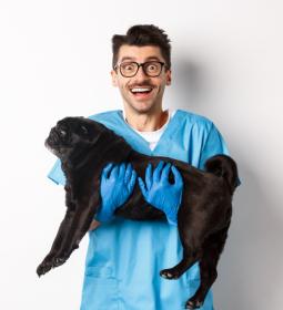 Best Veterinary Universities in Europe 2026 – QS World University Rankings