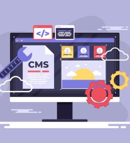 Study Information Technology, IT and Programming in Norway