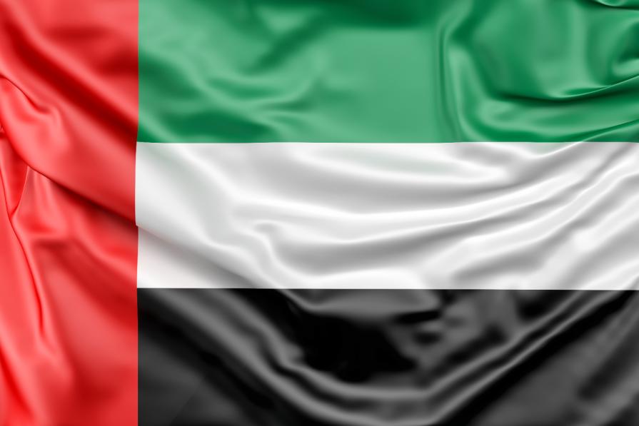 Flag of the UAE: history of unified flag