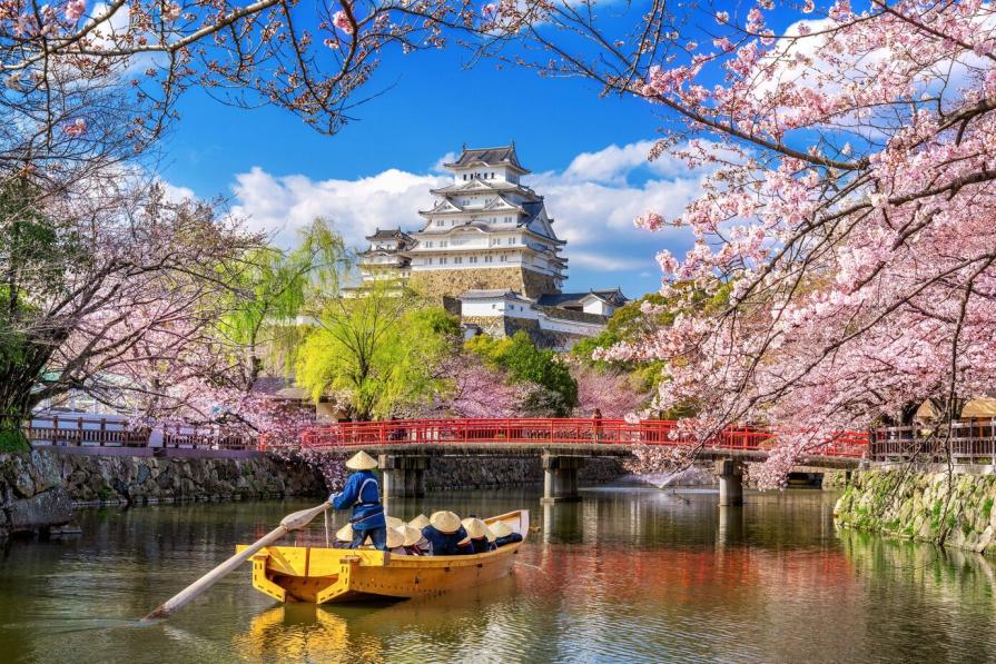 Japan: a gastronomic journey with a taste of wonder