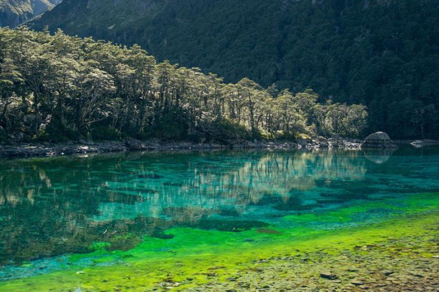 Why can't you swim in the cleanest lake on Earth?
