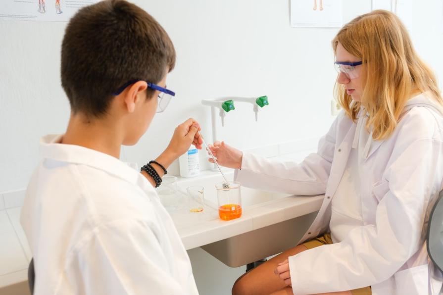 TOP-4 Best Schools in Austria 2026 Rankings