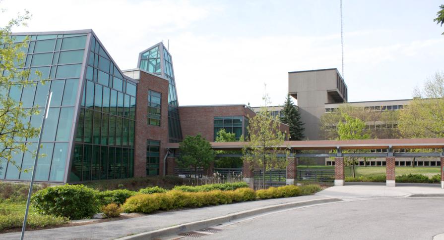 Best Universities in Toronto 2026 Ranking