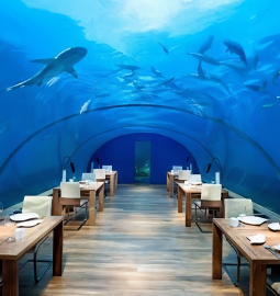 From mountain peaks to the seabed: top 7 unique restaurants in the world