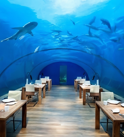 From mountain peaks to the seabed: top 7 unique restaurants in the world