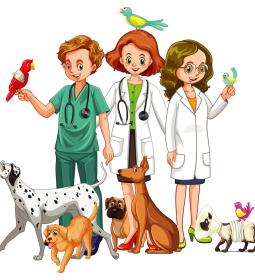 TOP UK University Rankings for Veterinary Medicine 2026