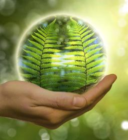 Best Universities in Europe for Environmental Studies 2026 - QS World University Rankings