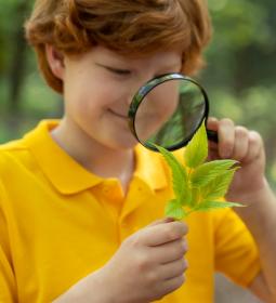 TOP Universities in Europe for Natural Sciences 2026 - QS World University Rankings