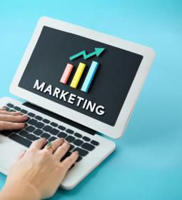 Studying Marketing and Marketing Analytics in the Netherlands