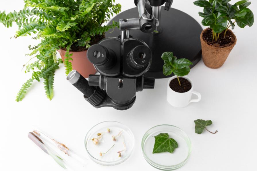 Best Universities for Biollogical Sciences USA 2026 - QS World University Rankings