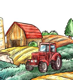 Studying Agriculture in Australia for foreign students