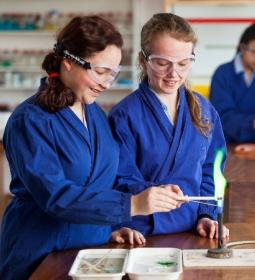 TOP-11 best private schools in Brighton 2026