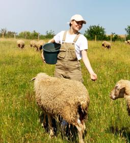 TOP UK Agricultural Universities 2026 | Complete University Guide