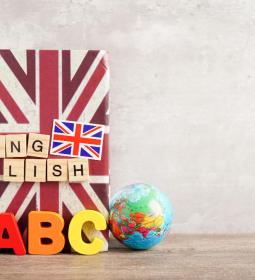 English language schools are slowing down
