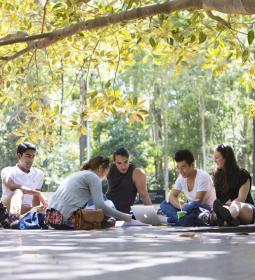 The University of Wollongong is preparing to open a campus in Saudi Arabia