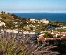 Summer Camp in Pepperdine University, Malibu