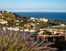 Summer Camp in Pepperdine University, Malibu