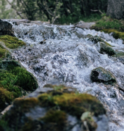 TOP-10 largest streams in the world