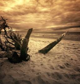 Top 5 most dangerous beaches in the world