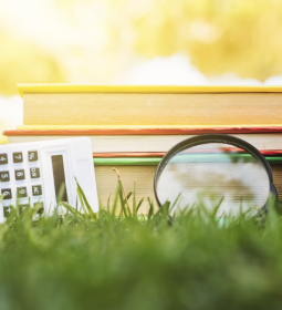 How much does it cost education in Switzerland?