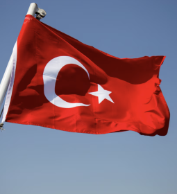 Flag of Turkey: history and symbols