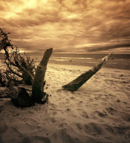 Top 5 most dangerous beaches in the world