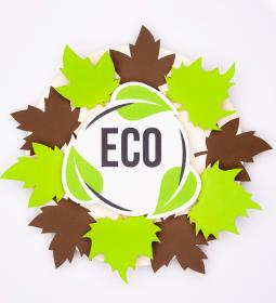 TOP-5 eco-friendly universities