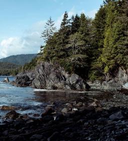 One of the most beautiful places of Canada - Vancouver Island