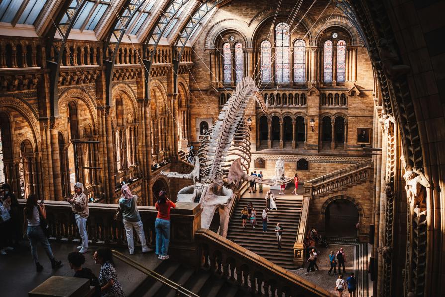Top free museums in London
