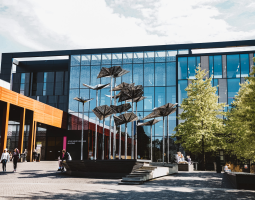 Oxford Brookes University Summer Camp