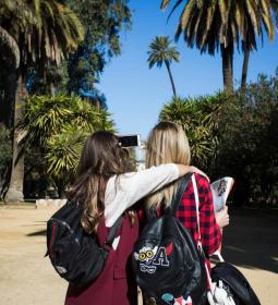 Schools in California for foreign students: useful information