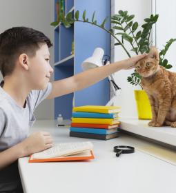 Unschooling: what is it and why is there so much controversy surrounding it?