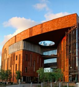 U.S. Undergraduate Studies at Arizona State University