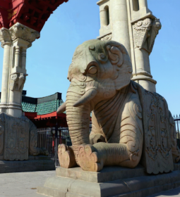 Berlin Zoo: a paradise for animals