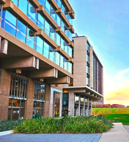 Politics and International Relations Program at Essex International College