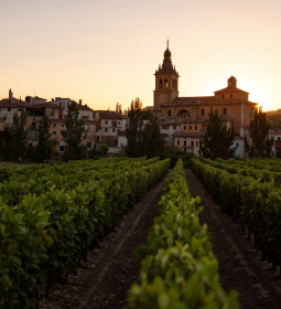 La Rioja - the main artery of the wine of Spain