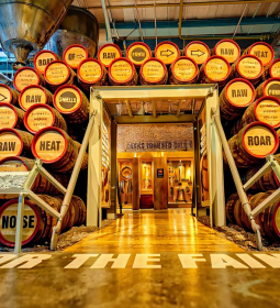 Guinness beer museum