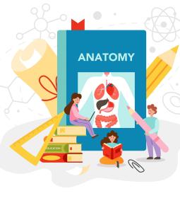 Best Universities for Anatomy & Physiology Studies USA 2026 - QS World University Rankings