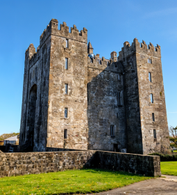 Bunratty Castle: Viking trading floor and modern medieval feasts