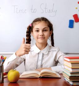 What is the difference between a good school besides academic success?